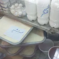 شیربرنج فرنی سرشیر کره دوغ خامه پنیر محلی بلغاری|خوردنی و آشامیدنی|اصفهان, خوراسگان|دیوار