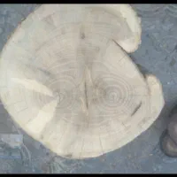 انواع کالباسی وچوب وجوش برای کارهای هنری ورزین|صنایع دستی و سایر لوازم تزئینی|کرمان, |دیوار