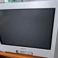 تلویزیون