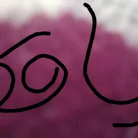 چاقو