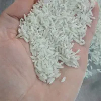 برنج هاشمی سرالک ولاشه محلی ناصر سرا ۳۴۰