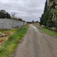 فروش زمین کشاورزی داخل بافت (خانه سرا)|فروش زمین و ملک کلنگی|هادی شهر, |دیوار