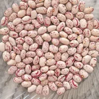 حبوبات