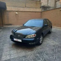 ماکسیما ۸۴ ساندروف