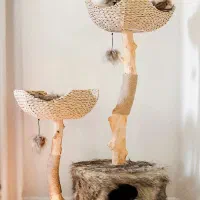 اسکرچر گربه