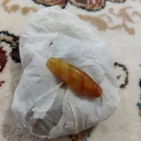 مهره مهبت ک