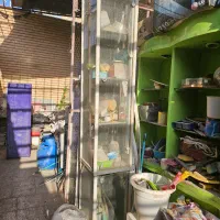 تعدادی وسیله مدرسه برای فروش|صندلی و نیمکت|فولادشهر, B6|دیوار