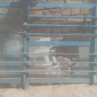 حراج حراج تخفیف داره معاوضه دارم با درب انباری