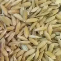 چلتوک