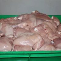 اسکلت مرغ