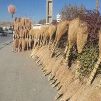 جارو|لوازم نظافت|دهگلان, |دیوار