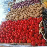 فروش بساط میوه فروشی|فروشگاه و مغازه|شیراز, فاضل|دیوار