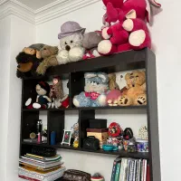 جا کتابی دیواری|کتابخانه، شلف، قفسه‌های دیواری|کیاکلا, |دیوار