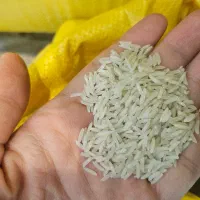 برنج|خوردنی و آشامیدنی|تهران, لاله زار|دیوار