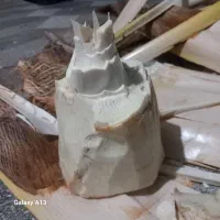 برش نخل رایگان