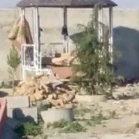 الاچیق اهنی فرفورژه