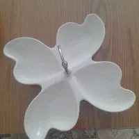 ظرف پذیرایی