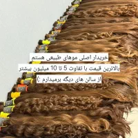 فروش مو 40 سانت به بالا5تا10میلیون بالاتراز همه جا