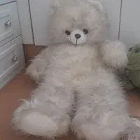 خرس بزرگ و لاک پشت