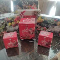 سرویس پیرکس ژاپنی نو