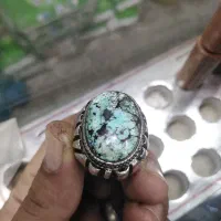 فیروزه شجر