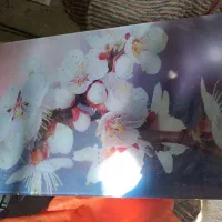 رادیاتور شیشه ای|آبگرمکن، پکیج، شوفاژ|بهار, |دیوار