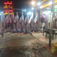 نیروی کار