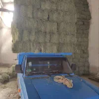 یونجه درجه یک|خدمات باغبانی و درختکاری|لالجین, |دیوار