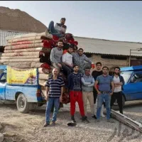 قالیشویی گلرنگ «تحویل یک روزه»|خدمات نظافت|مشهد, هفده شهریور|دیوار