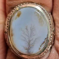 عقیق شجر تک درخت قائن|جواهرات|تهران, سلسبیل شمالی|دیوار