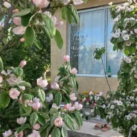 باغ-ویلایی-لوکس