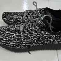 کتانی|کیف، کفش، کمربند|رشت, امین الضرب|دیوار