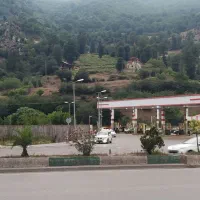 گفت و گو