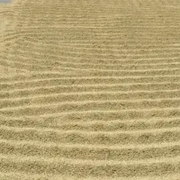 چلتوک کامفیروز ب شرط