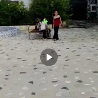 اجاره روزانه/هفتگی/ماهانه ویلا ۳۰۰ متری|اجارهٔ کوتاه‌مدت ویلا و باغ|کازرون, |دیوار