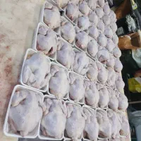 به تعدادی وسط کار آقا نیازمندیم 25تا30میلیون حقوق|استخدام صنعتی، فنی، مهندسی|بومهن, |دیوار