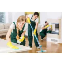 نظافت در منزل