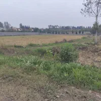 علف تراشی و قطع درخت