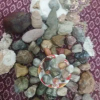 کادویی وکلکسیونی