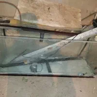 اکواریوم کارکرده