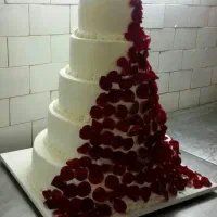 کیک تولد،عروسی،دندونی،حلوا مراسمات،کیک خیس|خدمات پذیرایی، مراسم|ارومیه, |دیوار