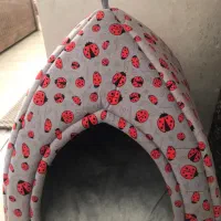 گربه اسگاتیش|گربه|ری, علایین|دیوار