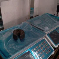 ترازو مدل ۱۳۵۳ علمکدار|فروشگاه و مغازه|پاکدشت, پاکدشت (مامازند)|دیوار