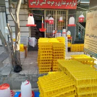 خوراک شفا دانه عمده دان پارس و اسلت کف پوش