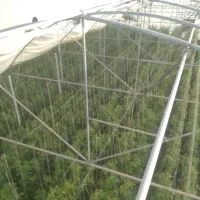 نصب وتعمیرات انواع گلخانه های جوشی وپیچ مهره ی|خدمات پیشه و مهارت|کاشان, شهرک صنعتی راوند|دیوار