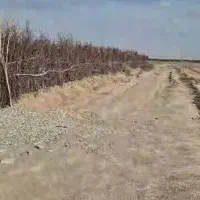 باغ چهار دیواری ۱۱۰۰متری|فروش زمین و ملک کلنگی|رباط‌کریم, الارد|دیوار