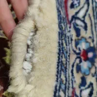 سجاده دست بافت|فرش|قم, نیروگاه|دیوار