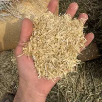 کاه گندم درجه یک