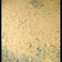 ترخینه دوغ/محلی/ملایر/تازه/پونه|خوردنی و آشامیدنی|تهران, اباذر|دیوار