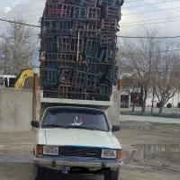 سبد میوه رنگی و مشکی